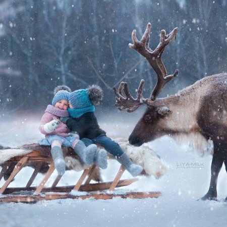 Зимняя фотосессия с оленем