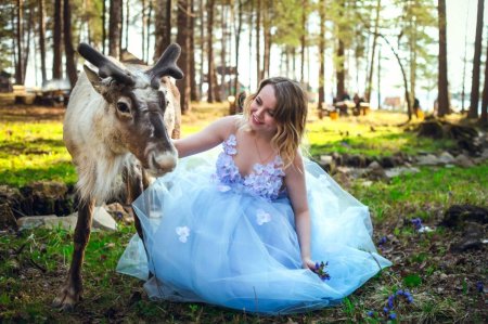 Северного оленя