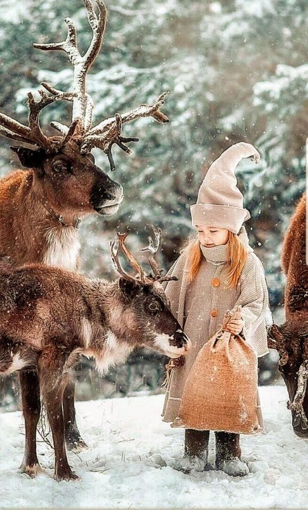 Фотосессия с оленем зимой