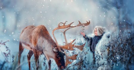 Зимний олень