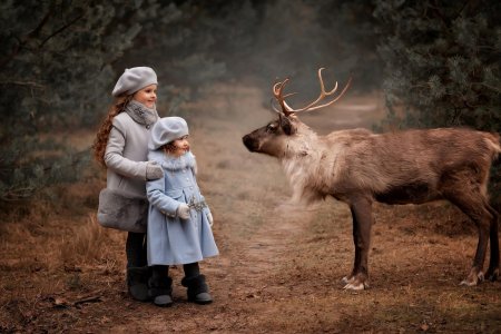 Олень девочка