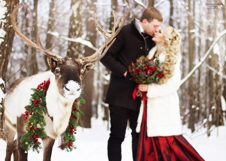 Фотосессия с оленем
