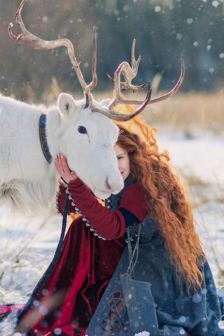 Фотосессия с оленем
