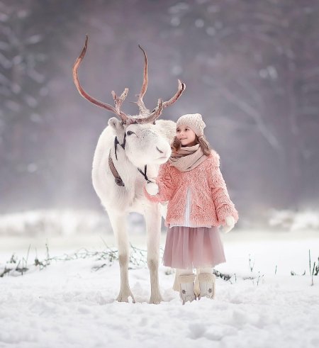 Фотосессия с северным оленем
