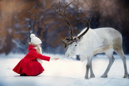 Фотосессия с оленями