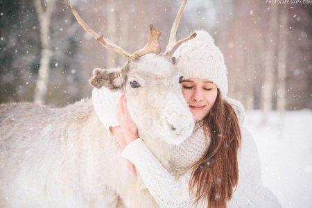Фотосессия с северным оленем