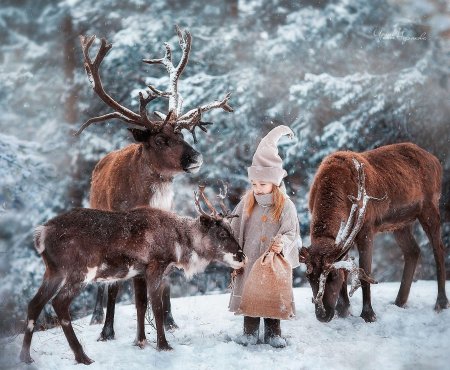 Фотосессия с оленем зимой