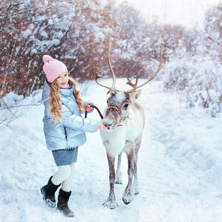Фотосессия с северным оленем