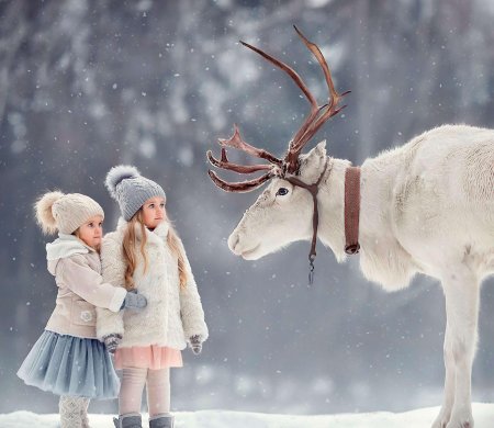 Олененок зимой