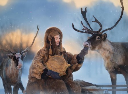 Северного оленя