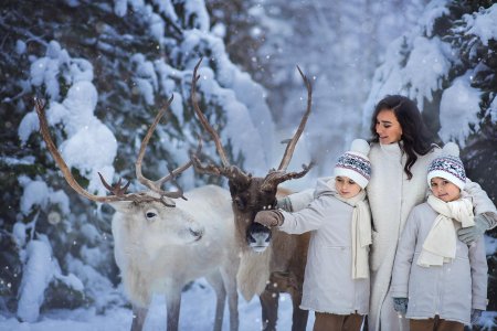 Фотосессия с оленем