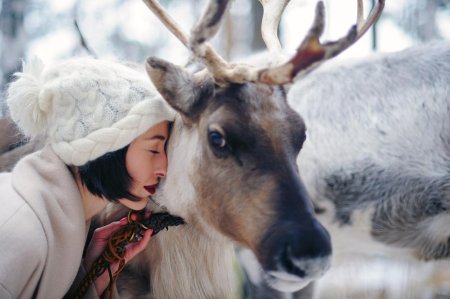 Анциферово оленья ферма