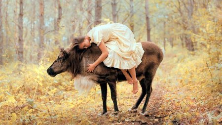 Фотограф: katerina plotnikova