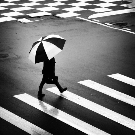 Чёрно-белая жизнь