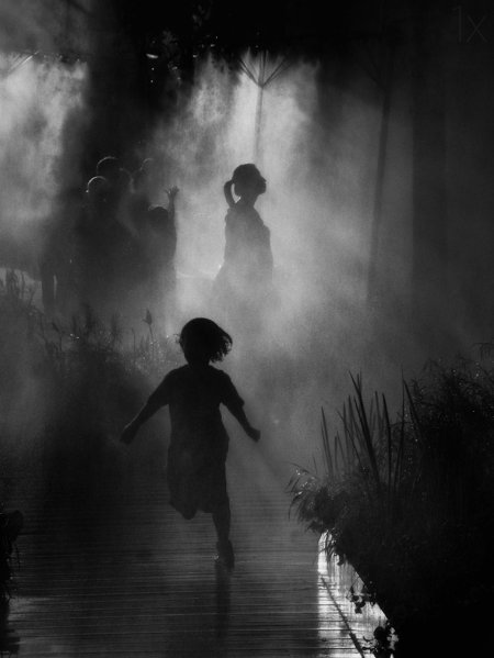 Тёмные силуэты