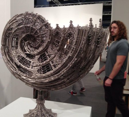 Вим дельвуа наутилус