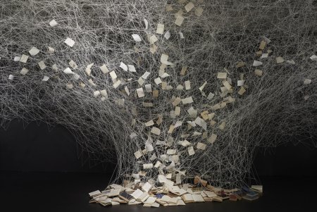 Тихару сиота