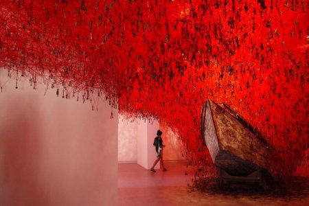 Тихару сиота