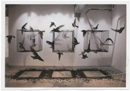 Художественная инсталляция