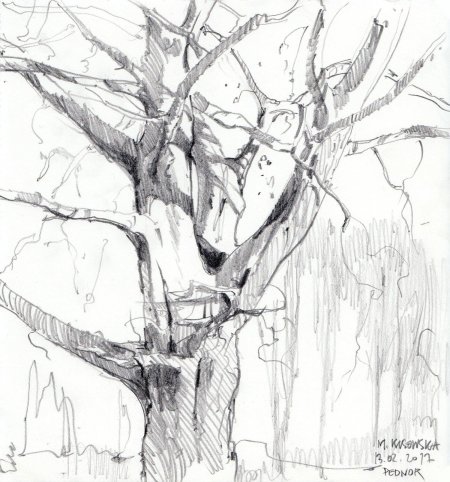 Дерево рисунок карандашом