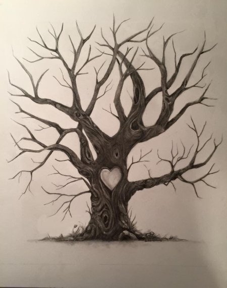 Рисунки дерева