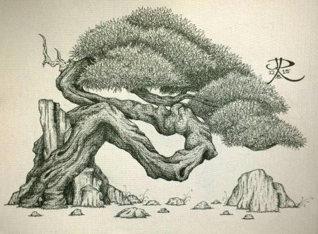 Дерево бонсай эскиз