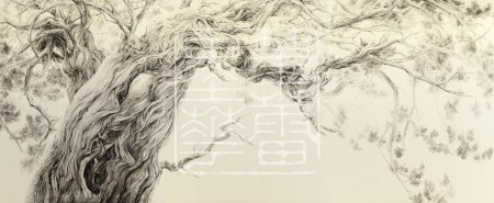 Хироми миура