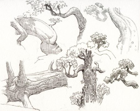 Дерево набросок