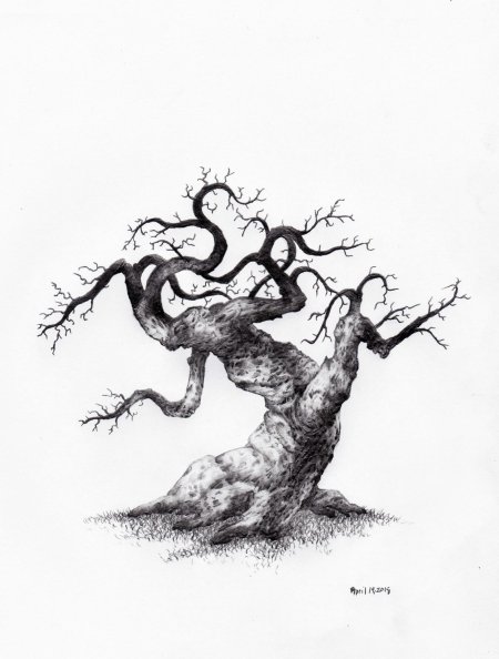 Дерево эскиз