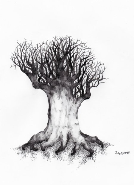 Рисунки карандашом дерево