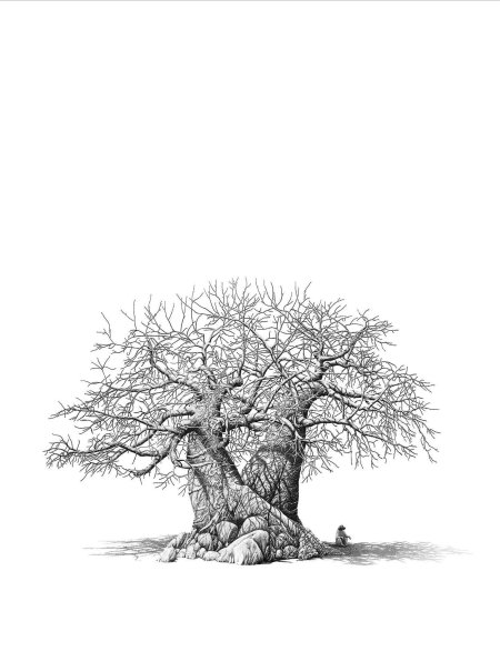 Baobab tree