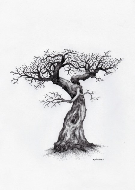 Дерево тату эскиз