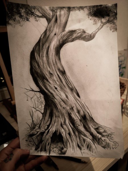 Дерево карандашом