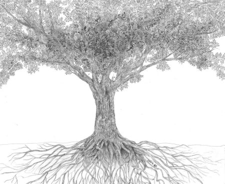 Дерево с корнем