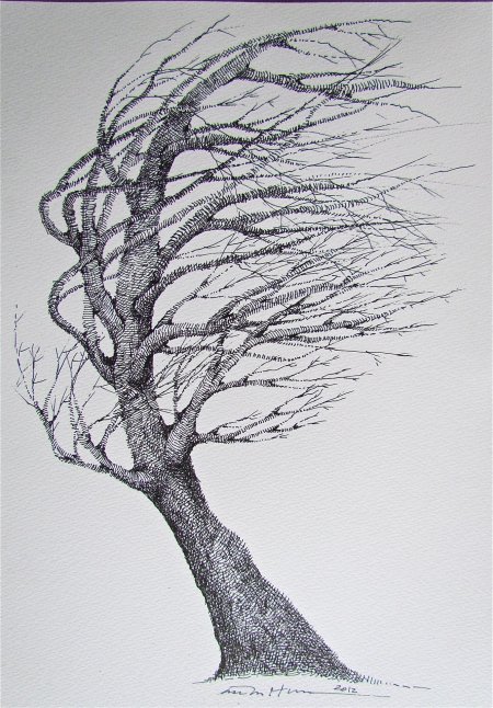 Рисунок карандашом дерево