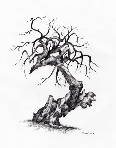 Страшное дерево