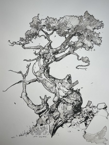 Графика тушью деревья