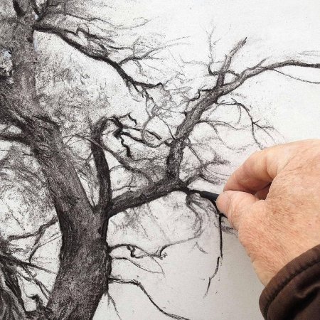 Рисунки карандашом дерево