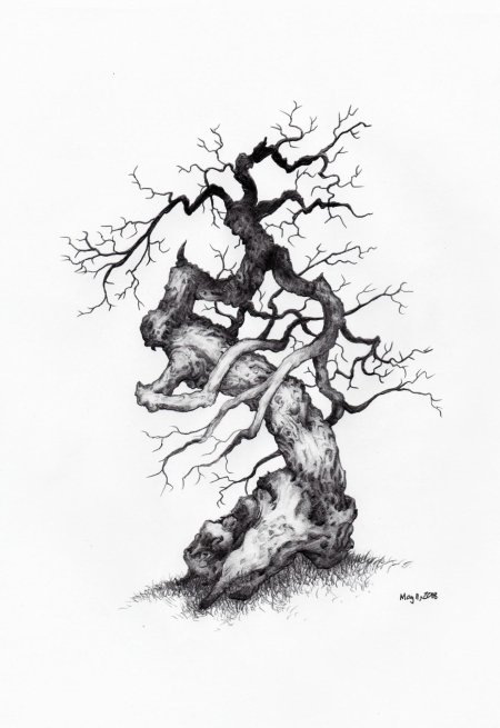 Дерево эскиз