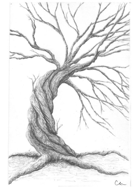 Дерево для срисовки