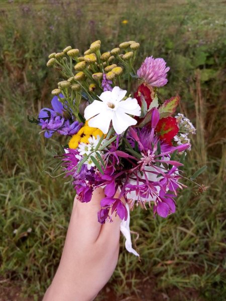 Летние букеты цветов