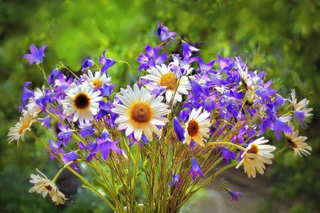 Букет полевые цветы