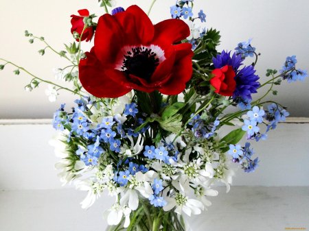 Цветы ромашки васильки незабудки букет