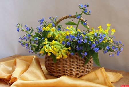 Полевые цветы в корзинке