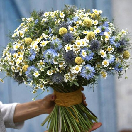 Эрингиум букет