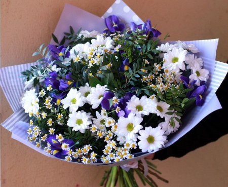 Ромашка матрикария букет