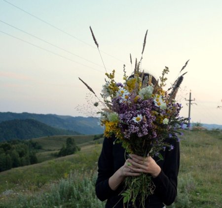 Полевые цветы в руках