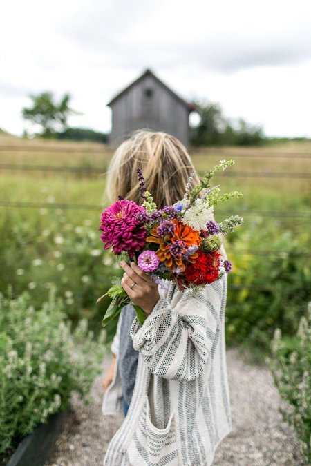 Летние цветы