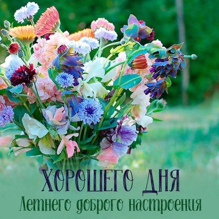 Доброго летнего утра