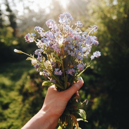 Полевые букеты